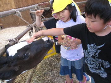 鈴鹿,保育,青い鳥保育園